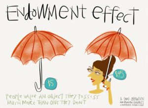 The Endowment effect